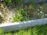 image of grave number 61908